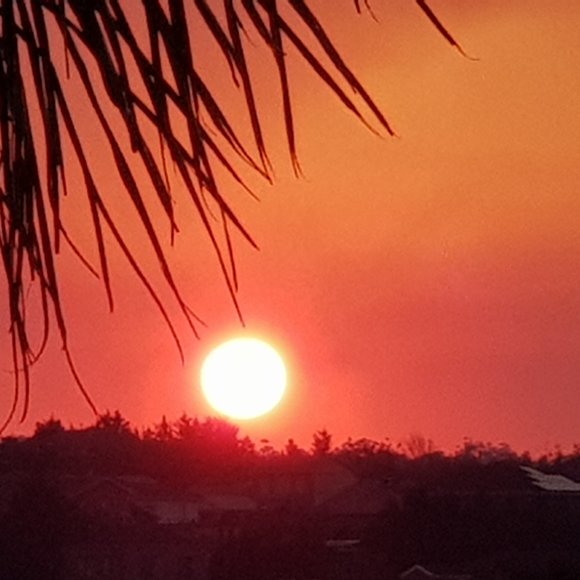 Meet your Posher, Khaled - Picture 9 of 9